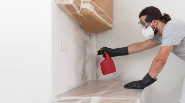 Professional Mold Testing technician working in Warfield, VA